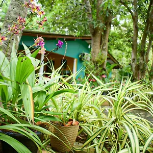  Privatunterkunft Palitha